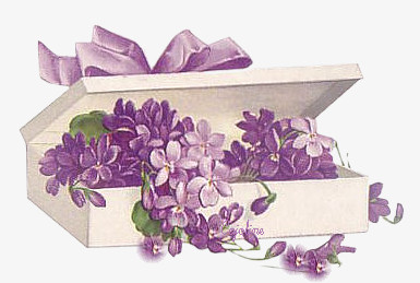 卡通元素手绘花饰素材 花盒