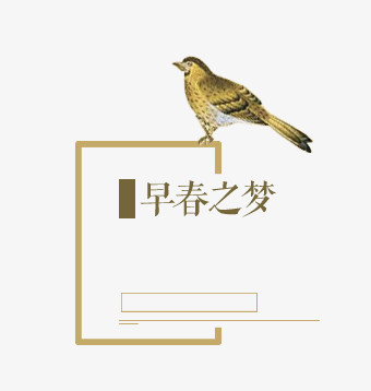 早春之梦