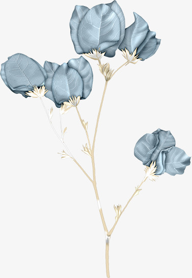 花朵海报背景鲜花  蓝色手绢花