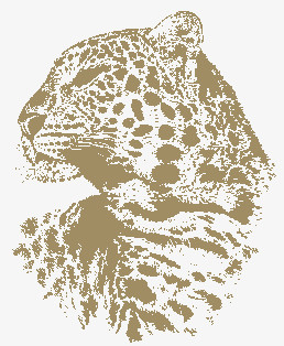 T恤图案 动物 豹