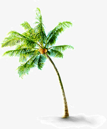 热带风情椰树
