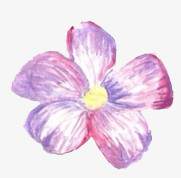 手绘花