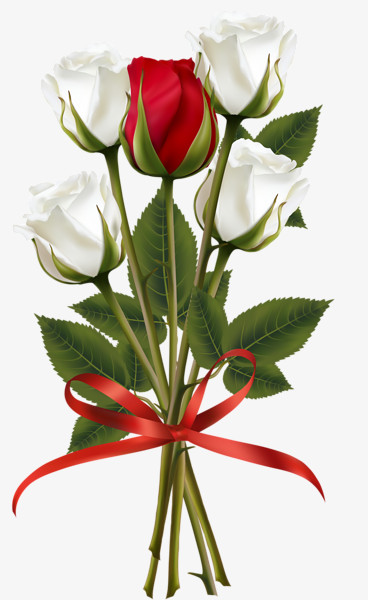 红白玫瑰一束花