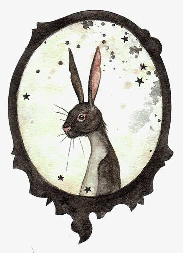 相框里的兔子