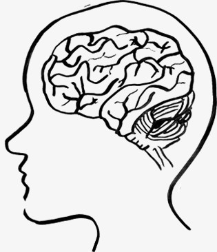 关键词:大脑人物绘画图精灵为您提供大脑免费下载,本设计作品为大脑
