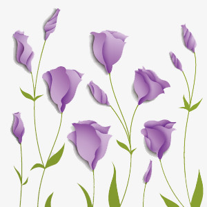 花朵装饰
