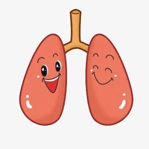 健康的肺卡通可爱图图片