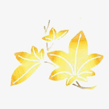卡通枫叶
