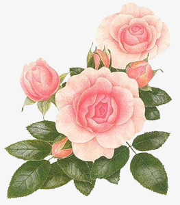 装饰花