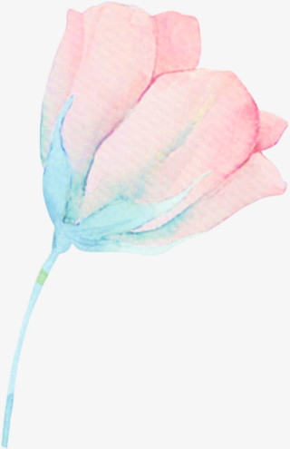 小花卉