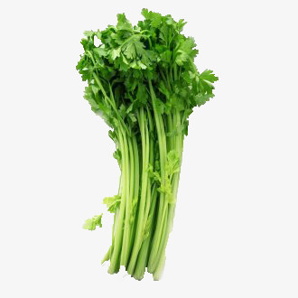 素菜