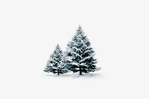 圣诞雪树素材