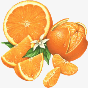 橘子