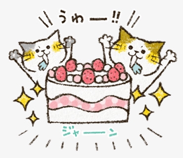 猫咪生日