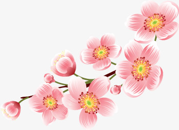 美丽粉色梅花装饰图案