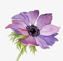 花卉图案卡通鲜花素材 紫色唯美小花