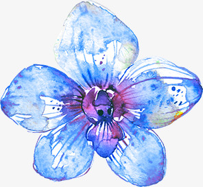 蓝花