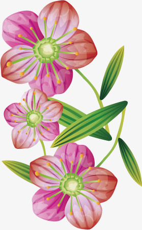 传统花纹