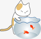守望鱼缸外的猫