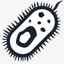 bacteria icon