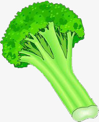 蔬菜