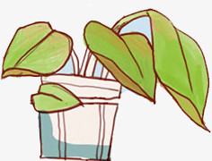 彩绘绿色植物