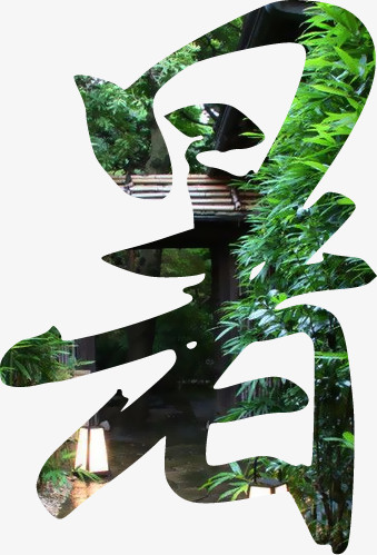 暑 树