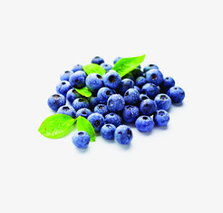 唯美水果蓝莓