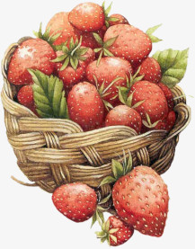 复古素材唯美 一筐草莓