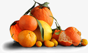 一堆大小各异的柑橘