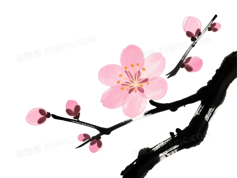 水墨梅花枝条装饰图案