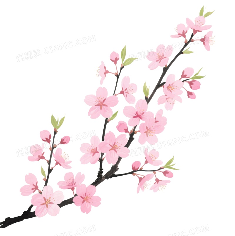 粉色樱花水墨风格装饰图案