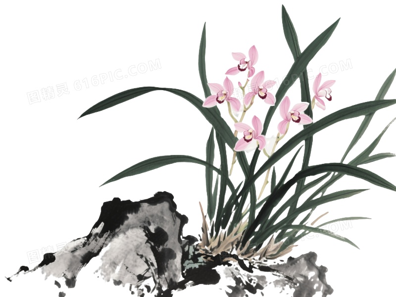 墨绿兰草淡粉兰花写意国画元素