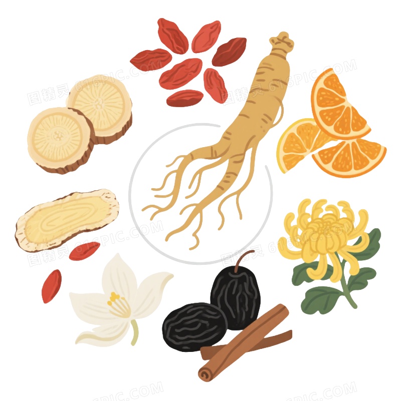 八组中药食材手绘扁平插画元素
