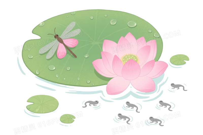 粉色荷花蜻蜓蝴蝶插画元素