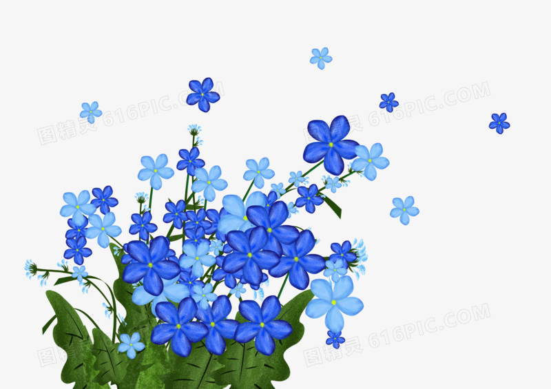 精美蓝色的小花