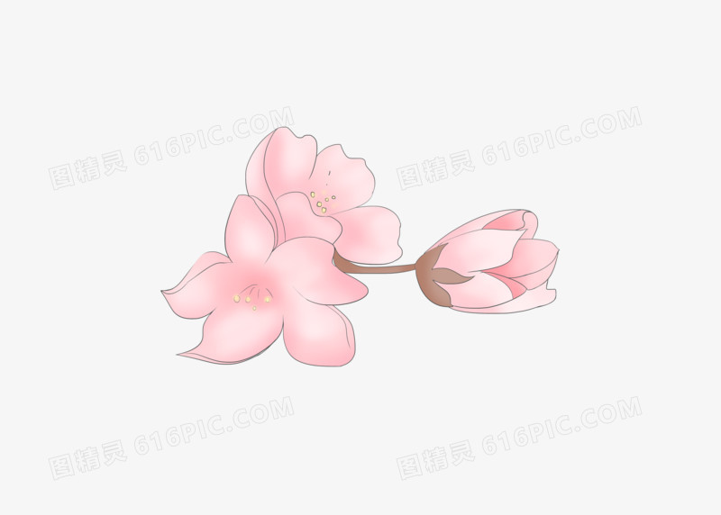 手绘花卉素材樱花