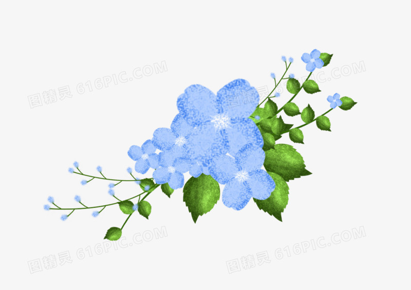 蓝色的精美小花