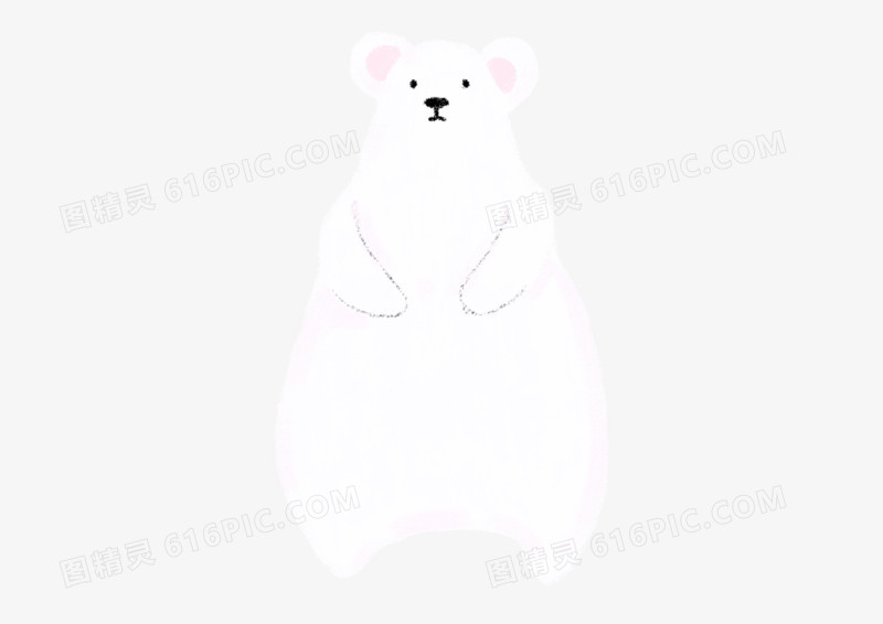 手绘插画白色北极熊可爱动物