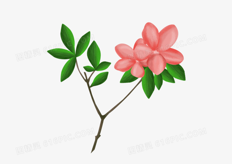 可爱的粉色小花