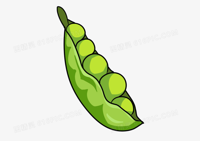 手绘卡通插画简约豌豆