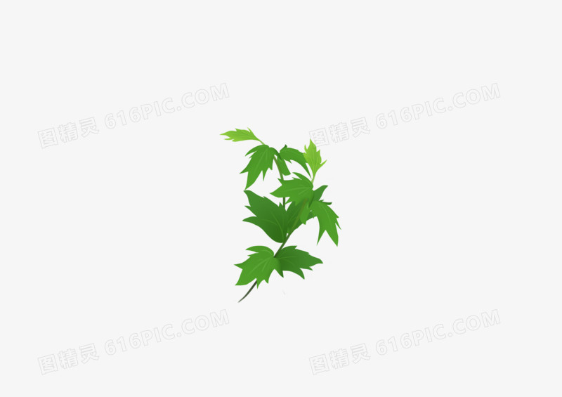 手绘卡通清新绿叶
