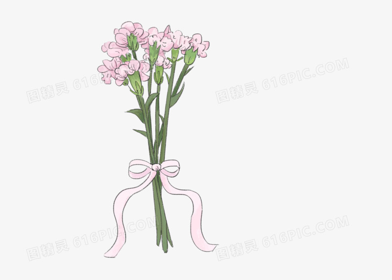 母亲节干花花卉手绘花束康乃馨母亲节