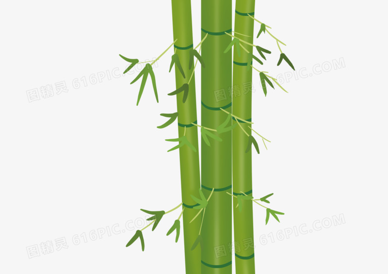 手绘卡通小清新绿色竹子