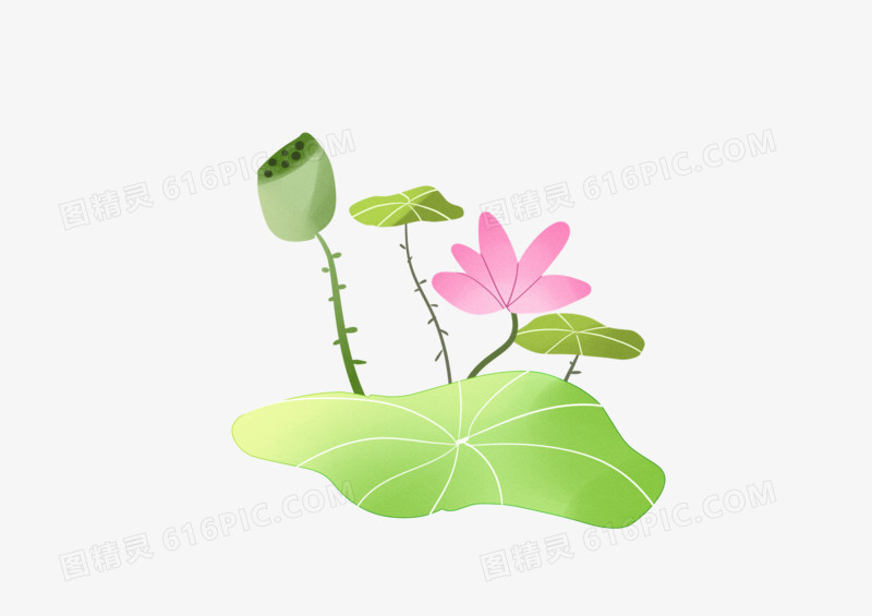 手绘卡通可爱绿色荷叶花