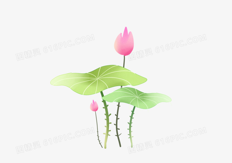 手绘卡通水彩绿色荷叶