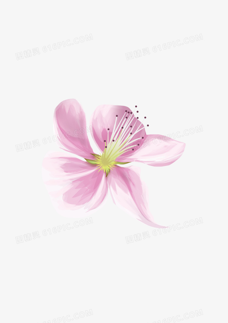  粉色美丽一朵花朵