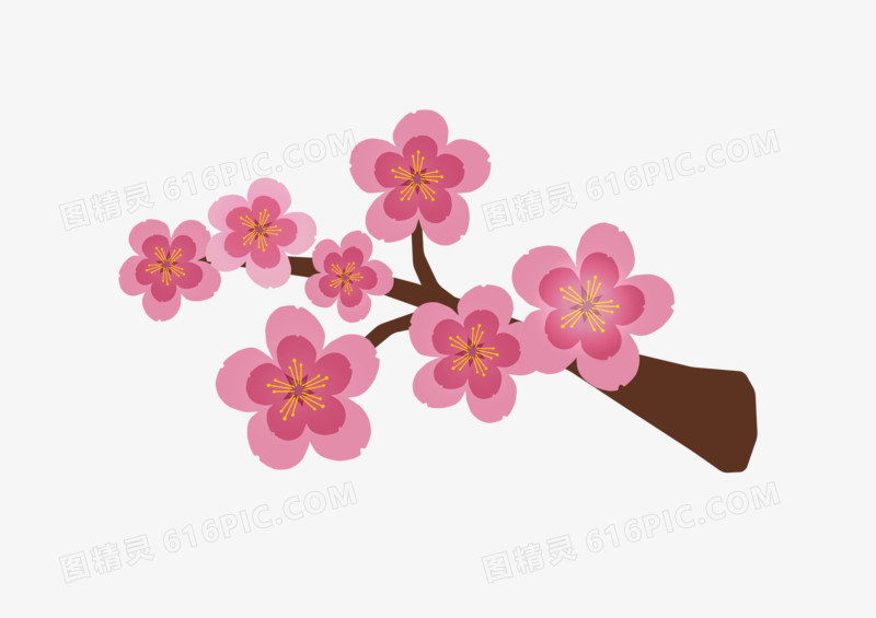 一枝梅花美丽花朵