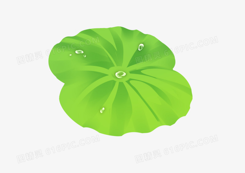 手绘卡通立夏圆形绿色荷叶