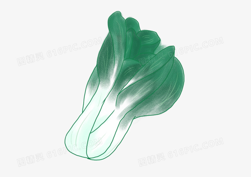 卡通简约蔬菜白菜